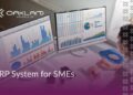 Affordable ERP Solutions for SMEs | Boost Business Efficiency