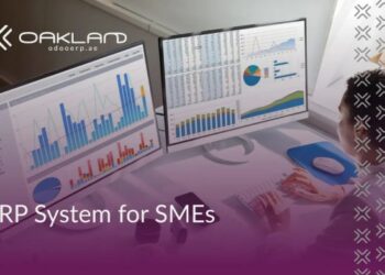 Affordable ERP Solutions for SMEs | Boost Business Efficiency