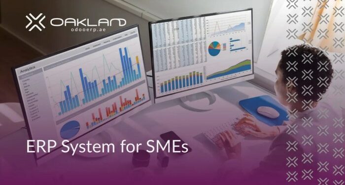 Affordable ERP Solutions for SMEs | Boost Business Efficiency