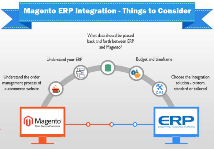 Guide: Magento ERP system integration | Dinarys
