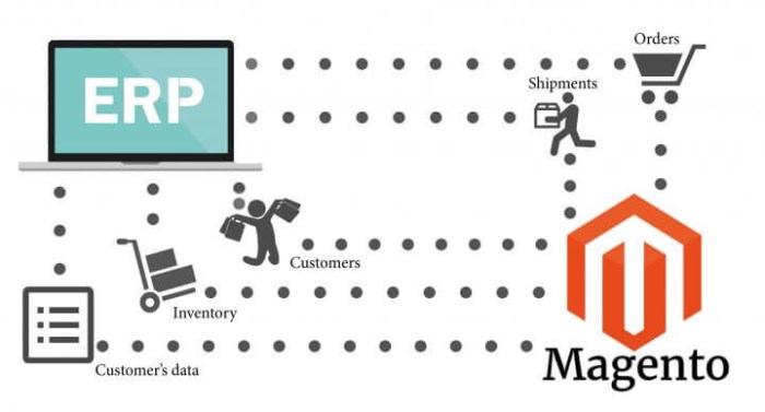Guide: Magento ERP system integration | Dinarys