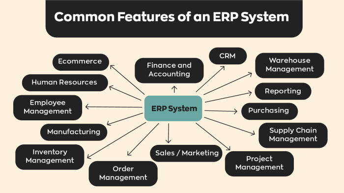 What is ERP? Modules and Their Features
