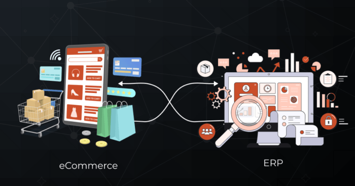 Top eCommerce ERPs: Improve Processes For Your Online Store