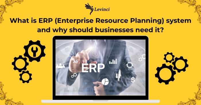 What is ERP (Enterprise Resource Planning) system and why should ...