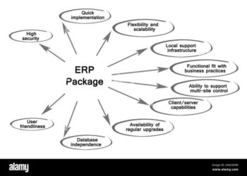 Understanding Enterprise Resource Planning (ERP) Systems in 2025